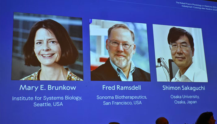 627277_5640611_updates Mary E Brunkow, Fred Ramsdell and Shimon Sakaguchi are awarded this years Nobel Prize in Medicine or Physiology. The Nobel Assembly at Karolinska Institutet announce the Nobel Prize in Physiology or Medicine on October 6, 2025, in Stockholm, Sweden.— Reuters