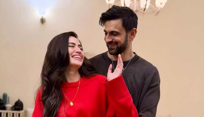 The couple pose while celebrating the second wedding anniversary. — Instagram/@realshoaibmalik