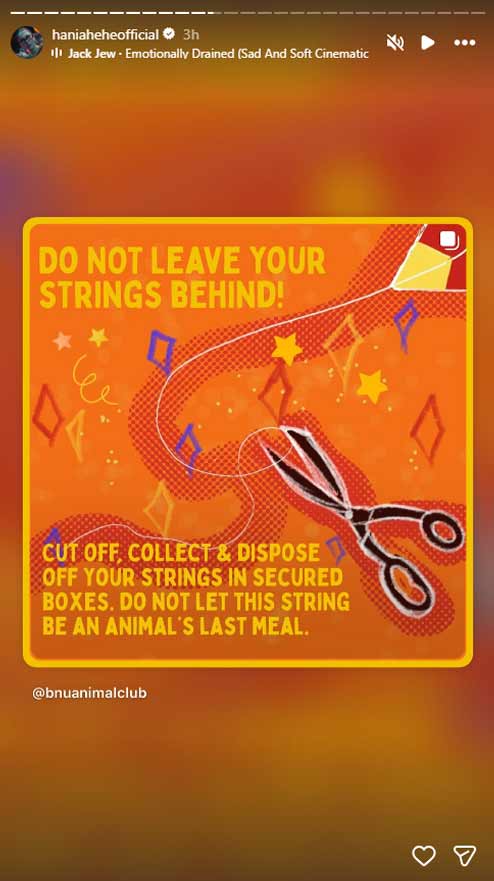 Showbiz stars revel as Lahore welcomes back Basant