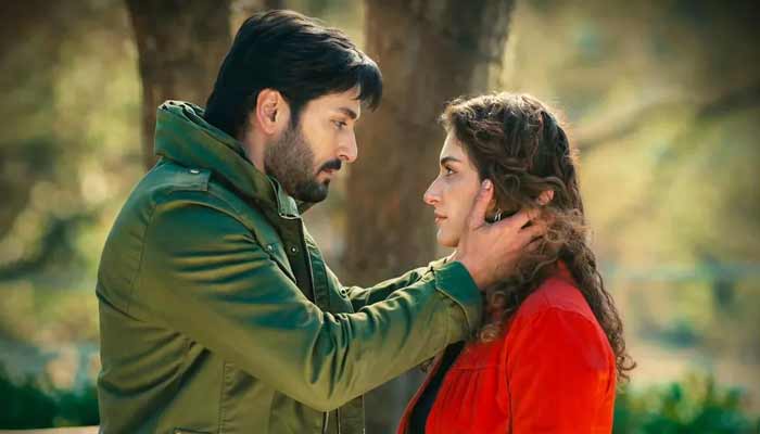 Banner image of Geo TV drama serial Humrahi shows actors Danish Taimoor and Hiba Bukhari. — Instagram